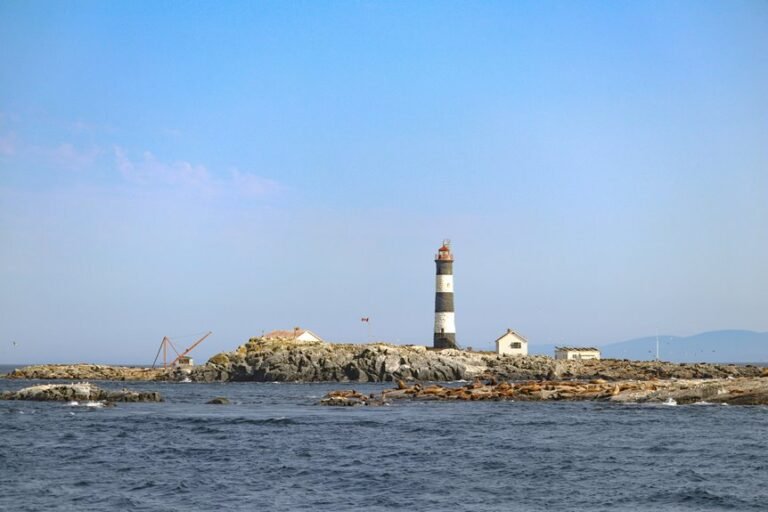 navigation report on signals